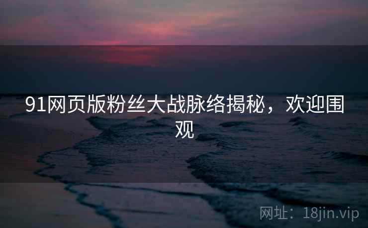 91网页版粉丝大战脉络揭秘，欢迎围观