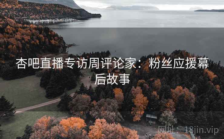 杏吧直播专访周评论家：粉丝应援幕后故事
