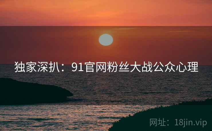 独家深扒：91官网粉丝大战公众心理