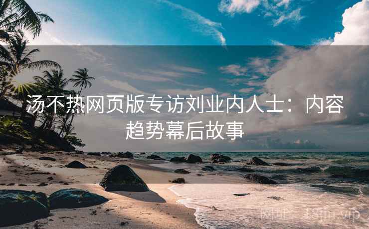 汤不热网页版专访刘业内人士：内容趋势幕后故事