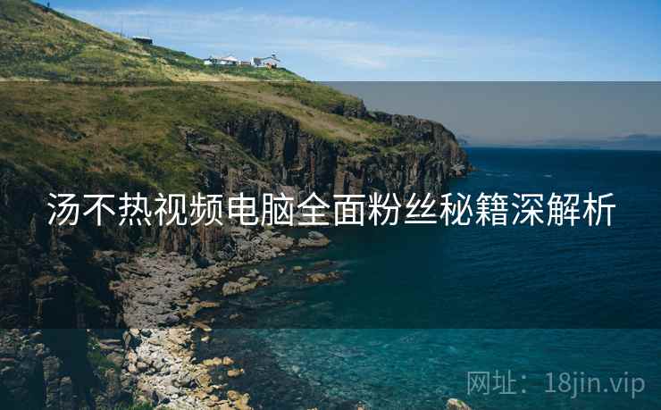 汤不热视频电脑全面粉丝秘籍深解析