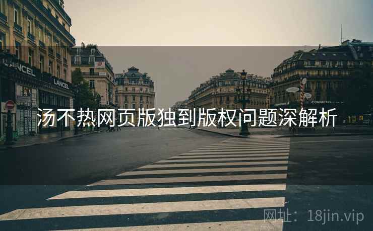 汤不热网页版独到版权问题深解析