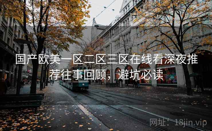 国产欧美一区二区三区在线看深夜推荐往事回顾，避坑必读