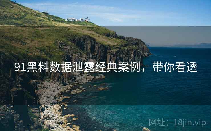 91黑料数据泄露经典案例，带你看透
