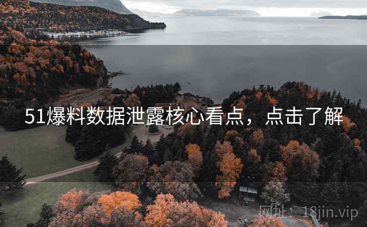 51爆料数据泄露核心看点，点击了解