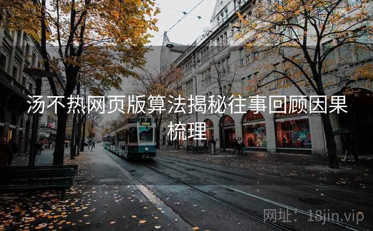 汤不热网页版算法揭秘往事回顾因果梳理