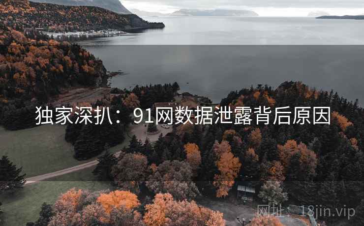 独家深扒：91网数据泄露背后原因