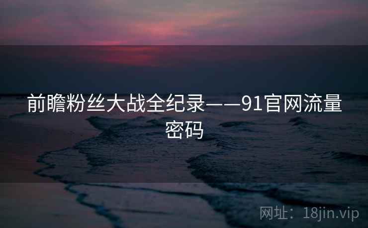 前瞻粉丝大战全纪录——91官网流量密码